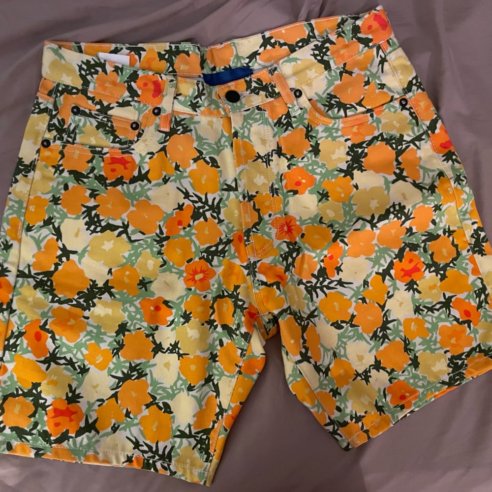 Simon Miller Winter Blossom Shorts NWOT